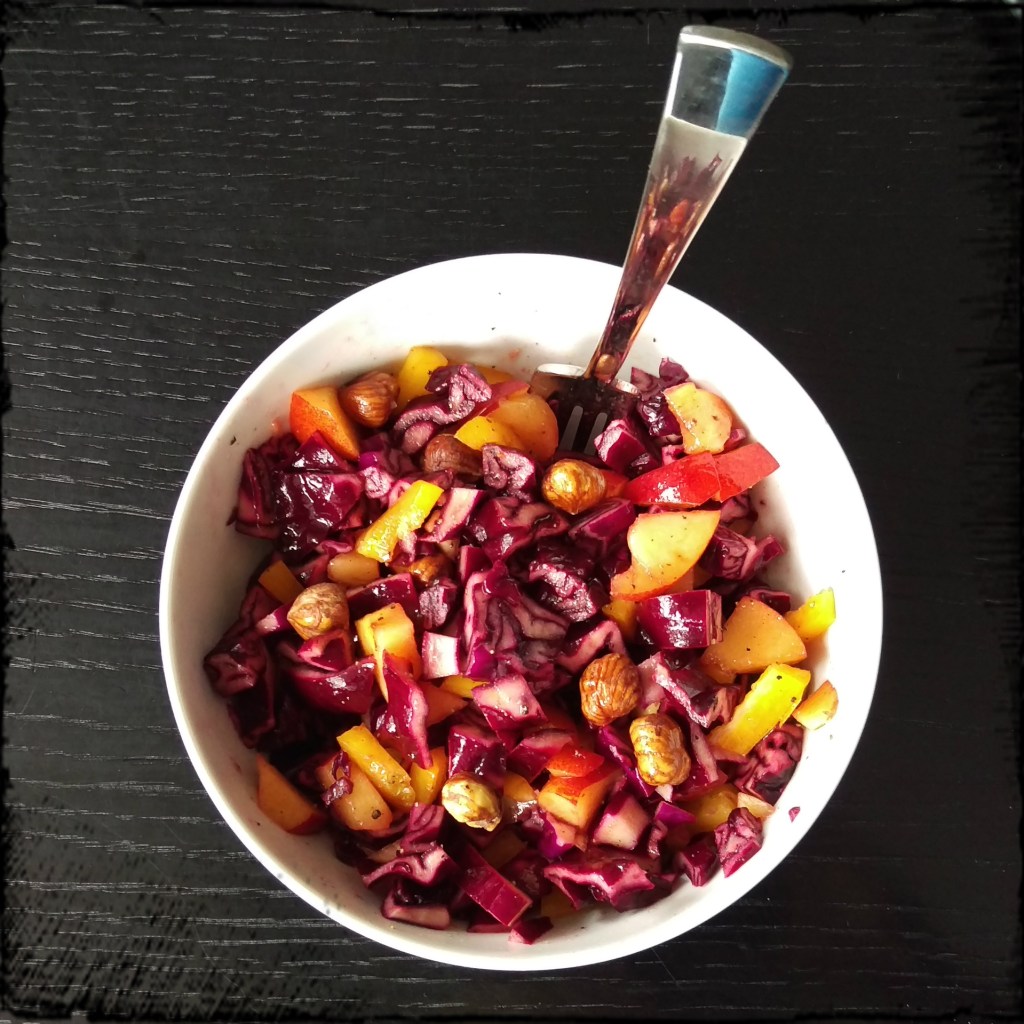 150802 südafrikanischer rotkohl-salat