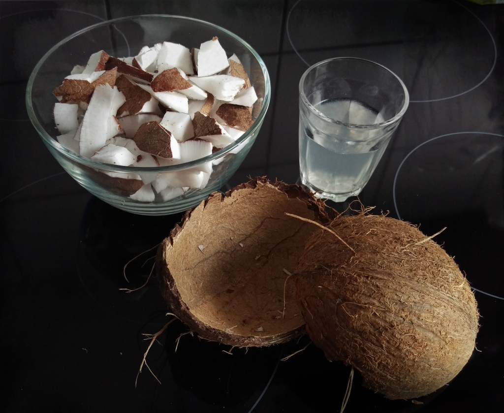 150827 kokosnuss
