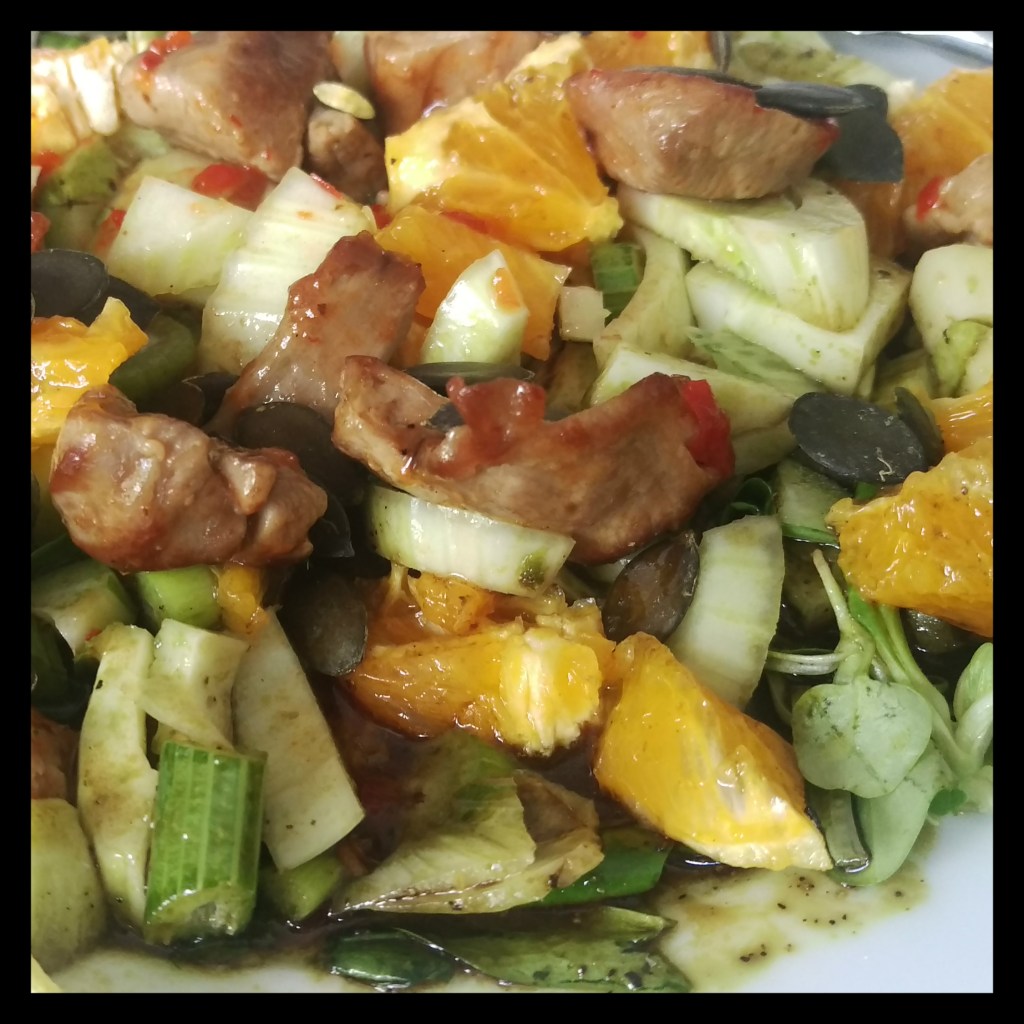 151015 fenchelsalat m pute u orange