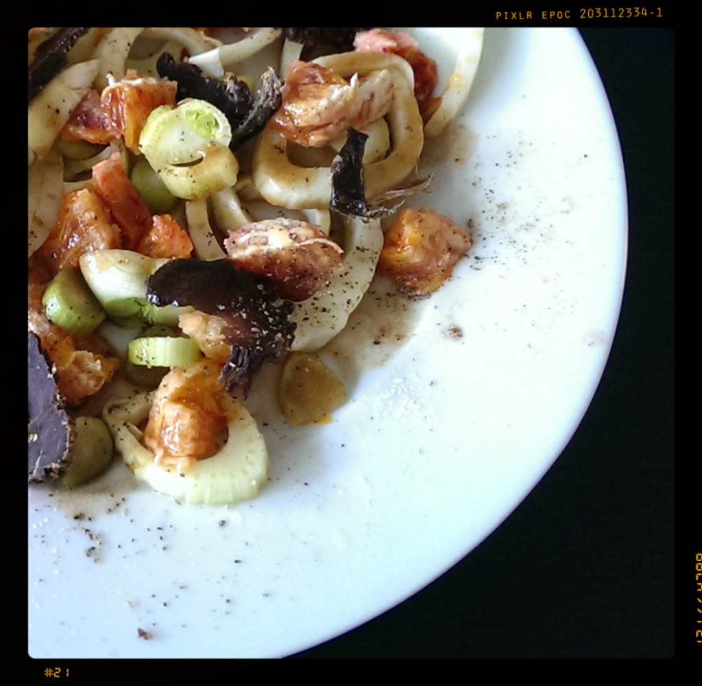 151025 fenchelsalat kudubiltong