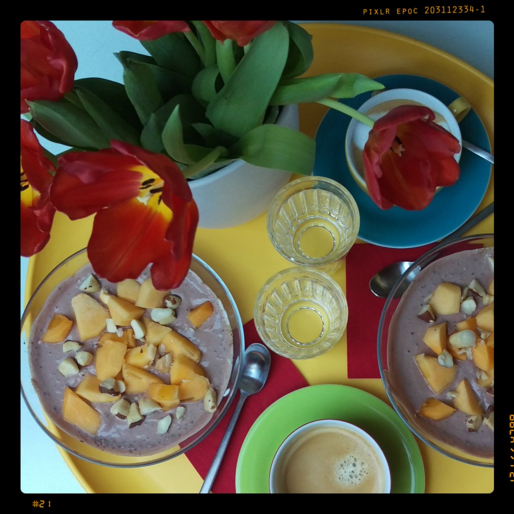 160309 schokojoghurt