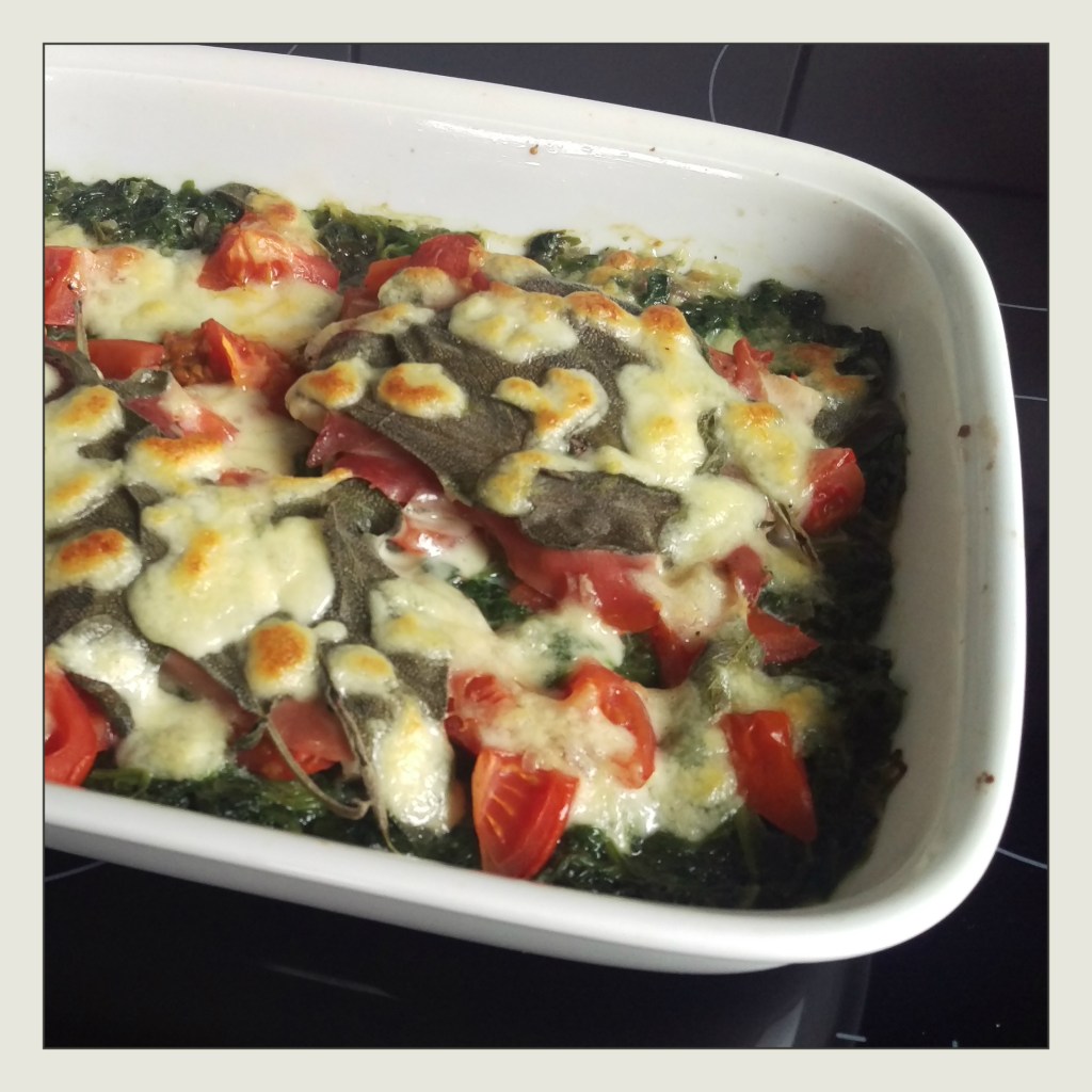 160425 wildlachsgratin