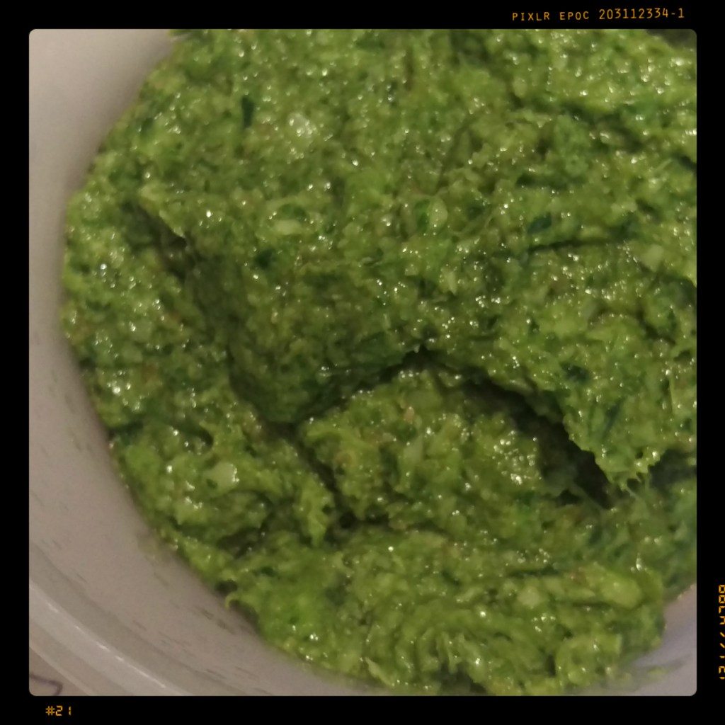 160604 bärlauchpesto