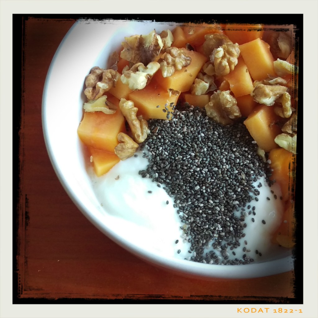 160611 papayajoghurt