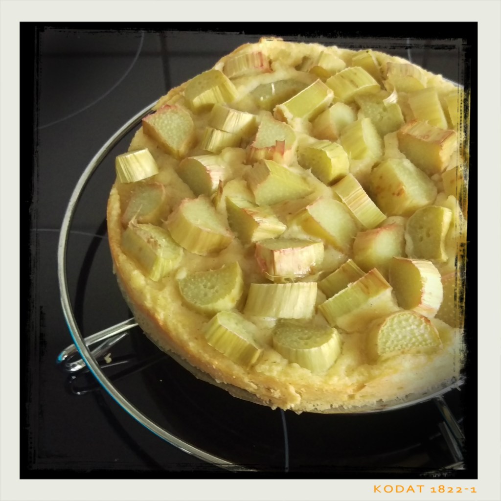 160801 rhabarberkuchen