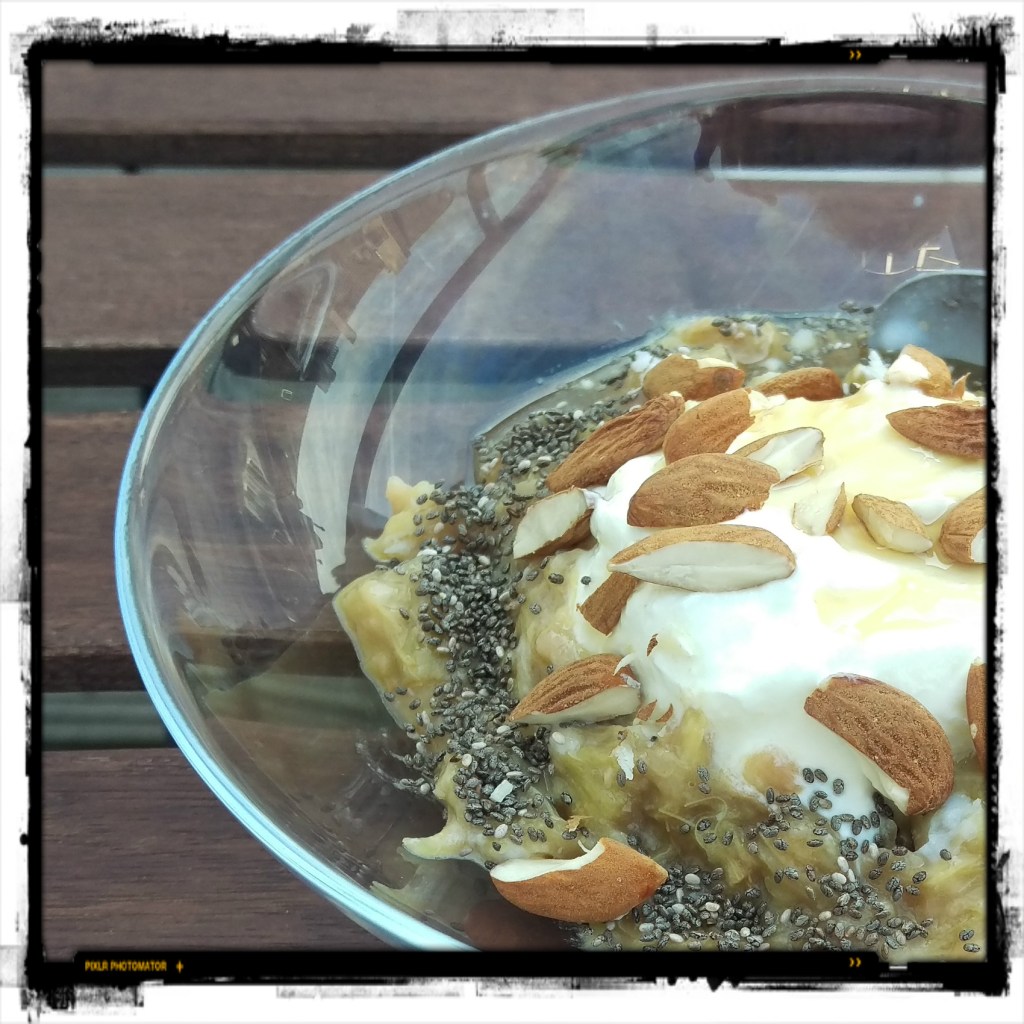 160804 schafsjoghurt m rhabarber