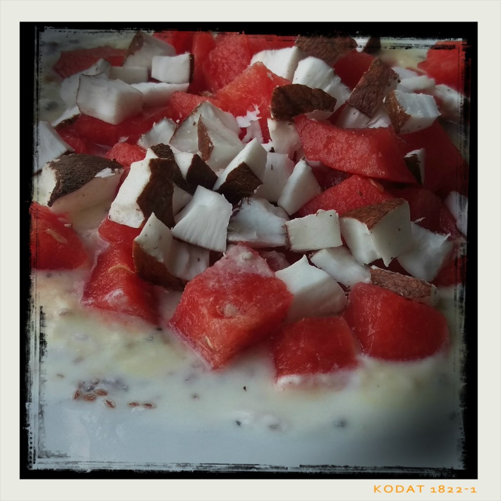 160819 joghurt mit melone und kokos