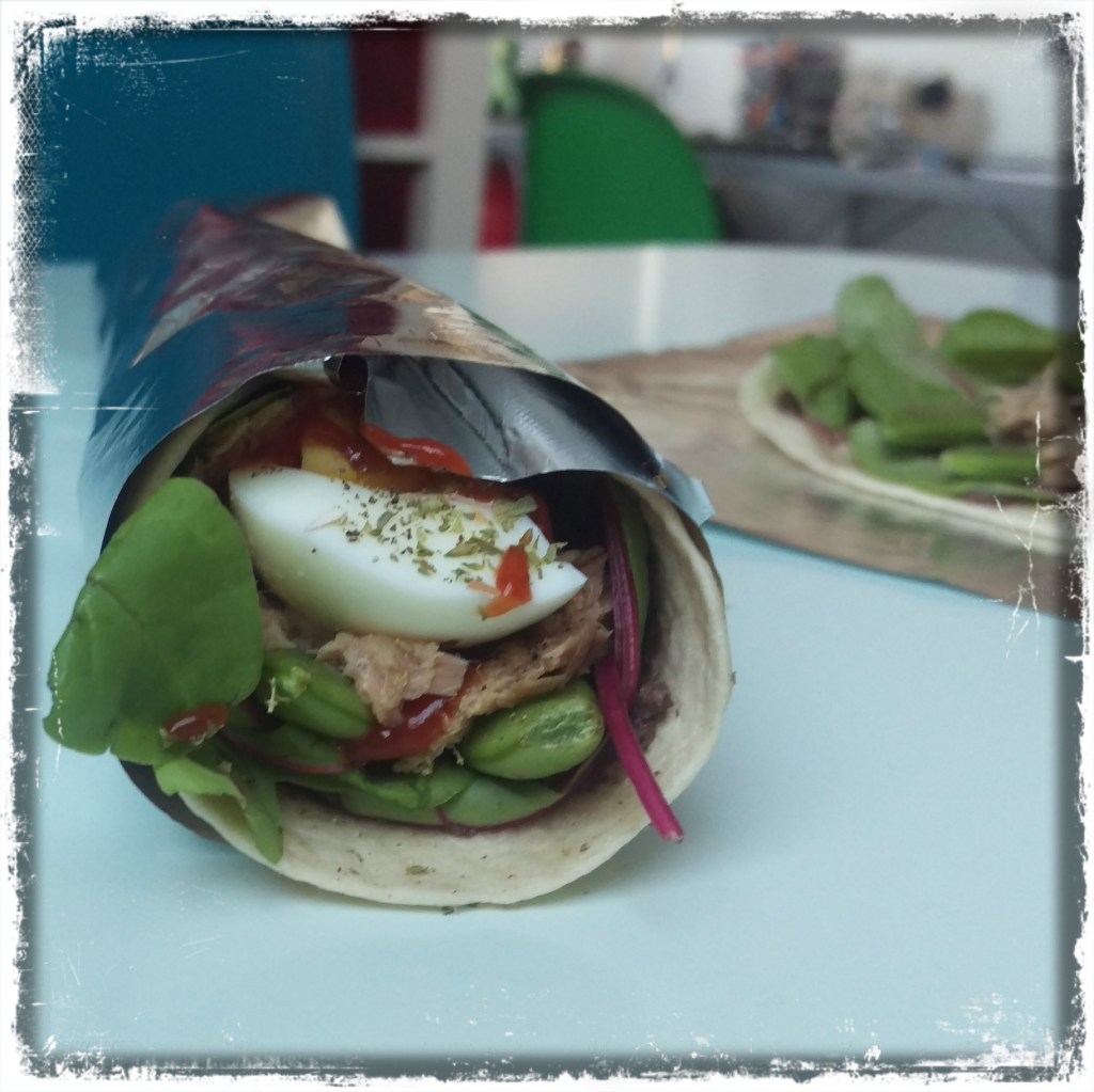161127-wrap-tunfisch-ei
