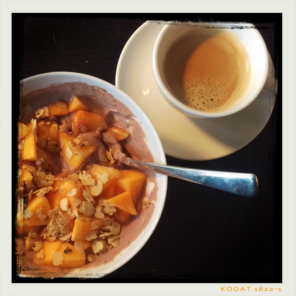 170118-schokojoghurt-kaki