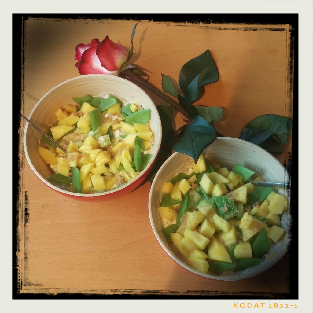 170131-huettenkaese-schafjoghurt